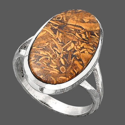 Natural Coquina Fossil Jasper India Ring size-8 R-1005 SDR246813