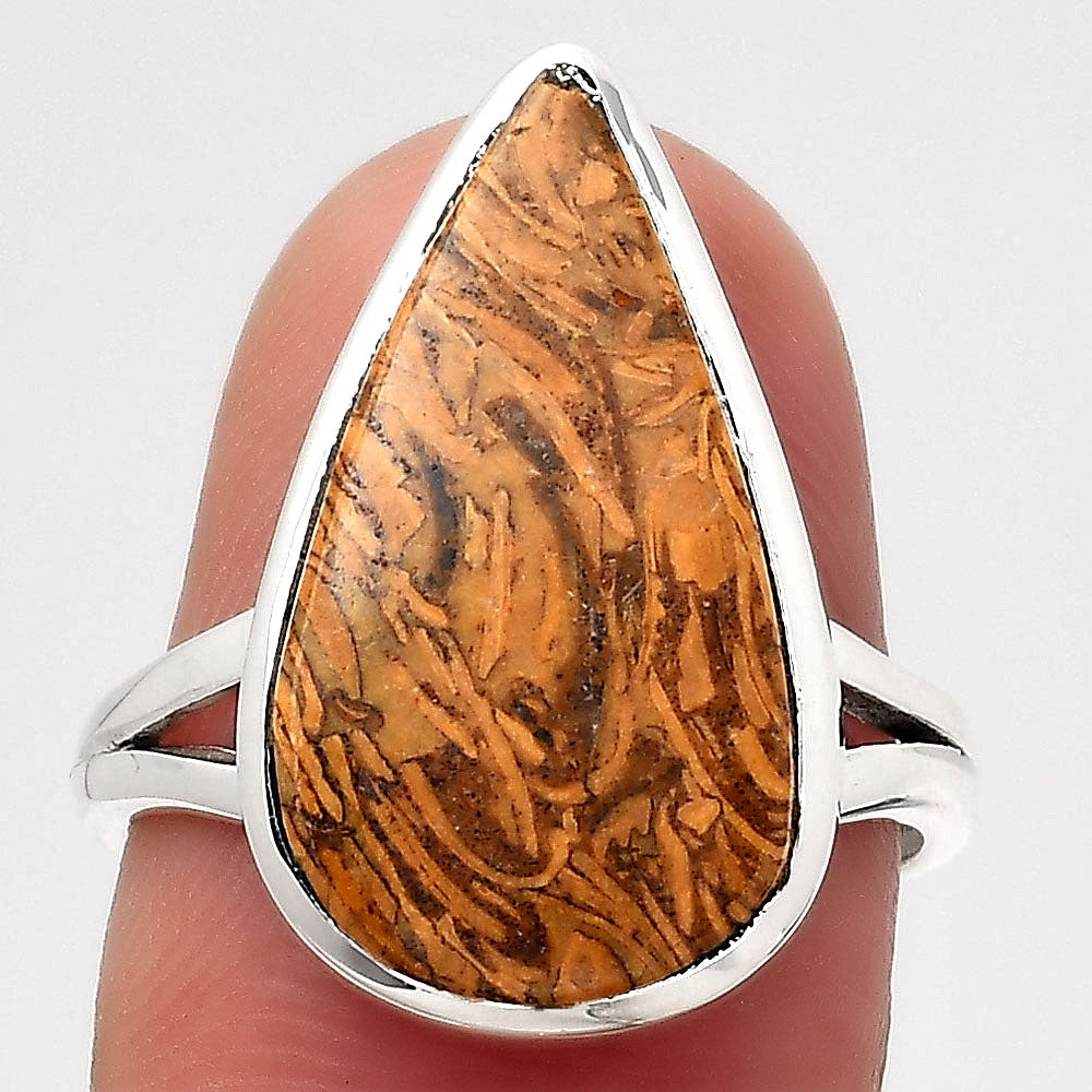 Natural Coquina Fossil Jasper India Ring size-7 R-1005 SDR246816