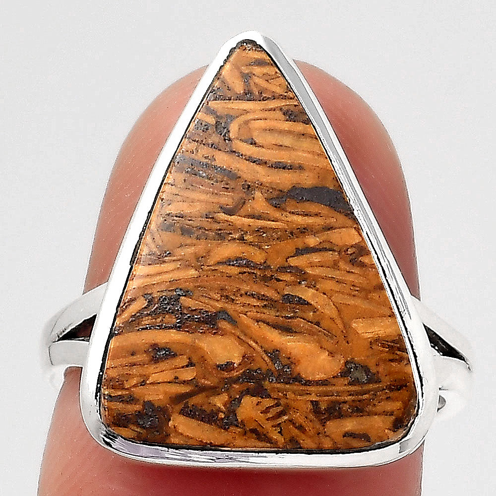 Natural Coquina Fossil Jasper India Ring size-7 R-1005 SDR246819