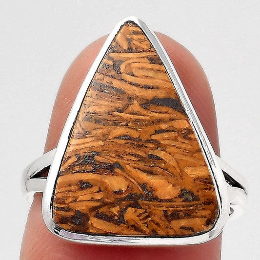 Natural Coquina Fossil Jasper India Ring size-7 R-1005 SDR246819