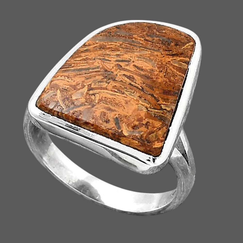 Natural Coquina Fossil Jasper India Ring size-7 R-1005 SDR246826