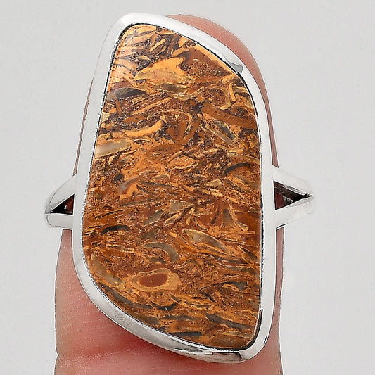 Natural Coquina Fossil Jasper India Ring size-8 R-1005 SDR246856