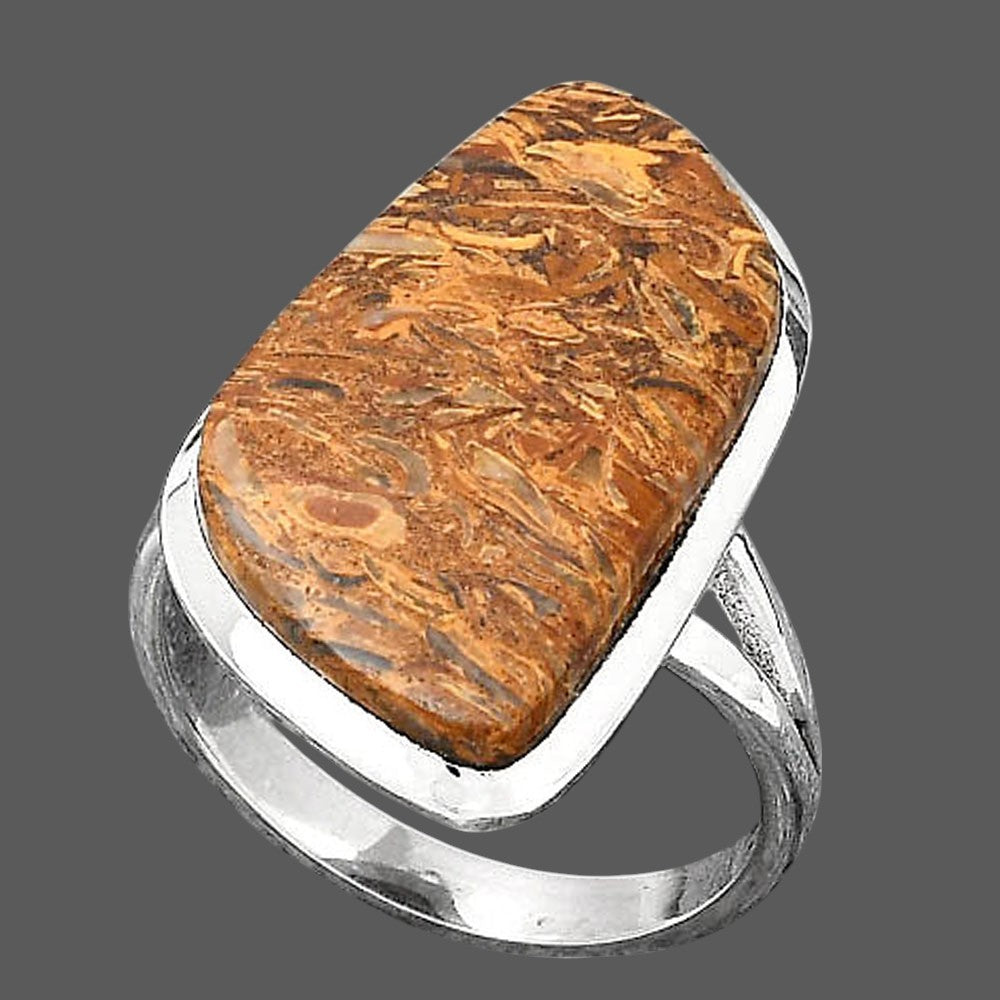 Natural Coquina Fossil Jasper India Ring size-8 R-1005 SDR246856