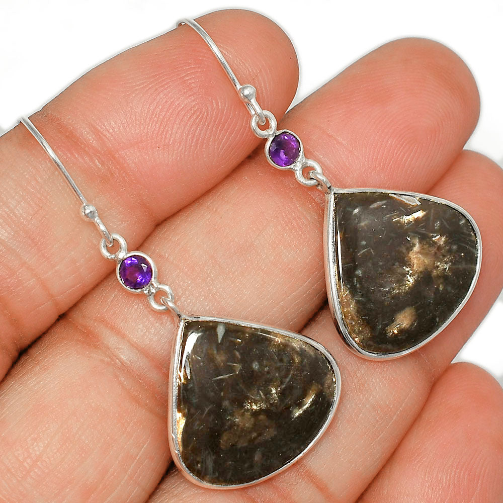 Palm Root Fossil Agate & Amethyst Pendant Earrings Set T-1010 SDT03286