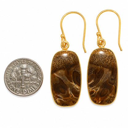 Root Plume Agate Earrings EM-1001 TE01090