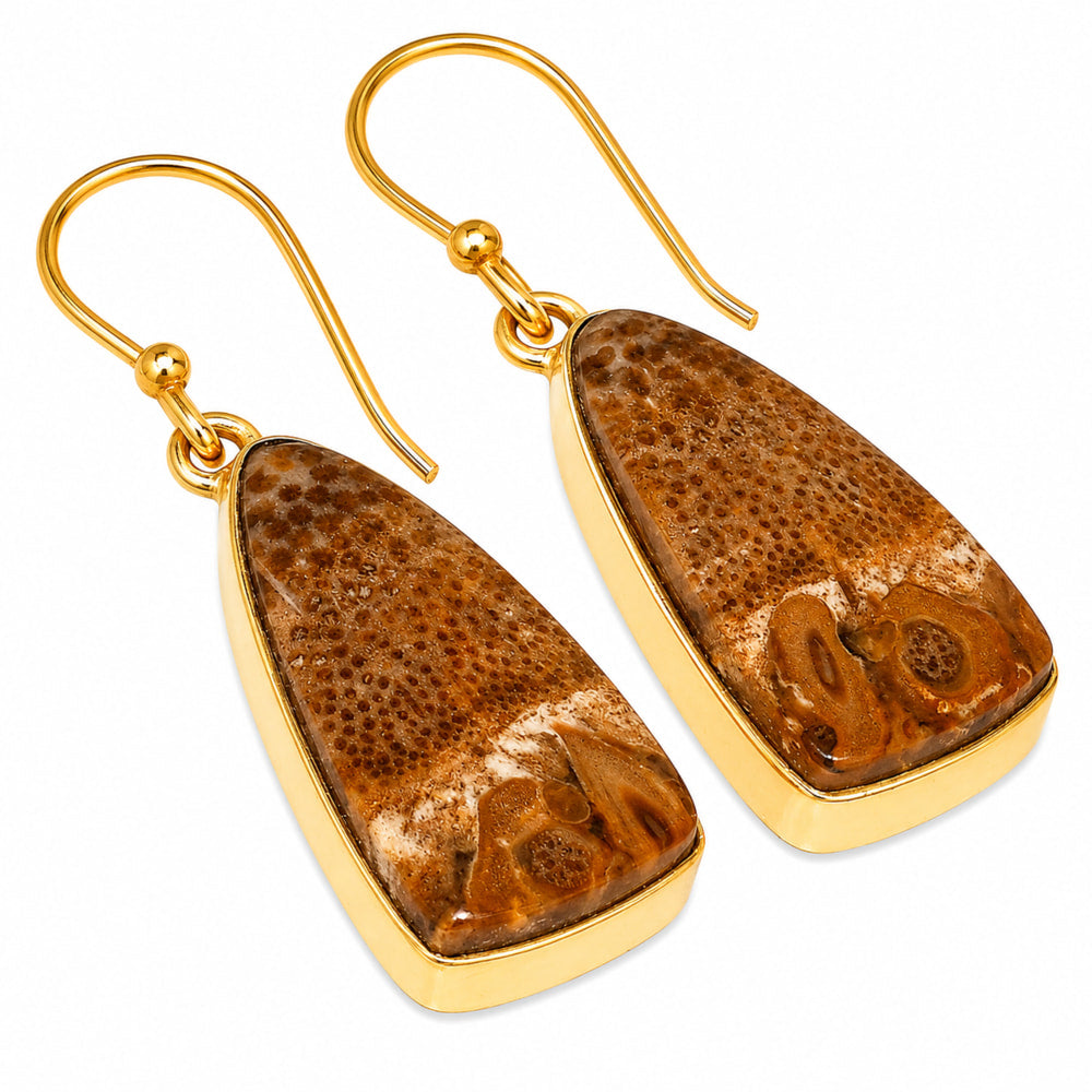 Root Plume Agate Earrings EM-1001 TE01092