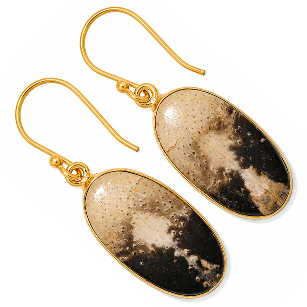 Black Root Plume Agate Earrings EM-1001 TE01093