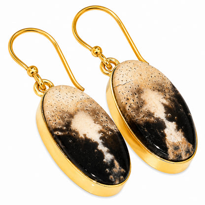 Black Root Plume Agate Earrings EM-1001 TE01093