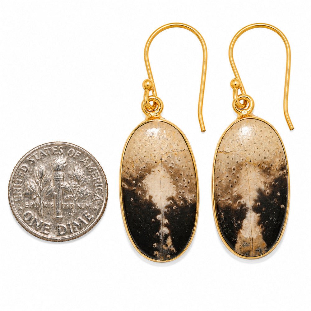 Black Root Plume Agate Earrings EM-1001 TE01093
