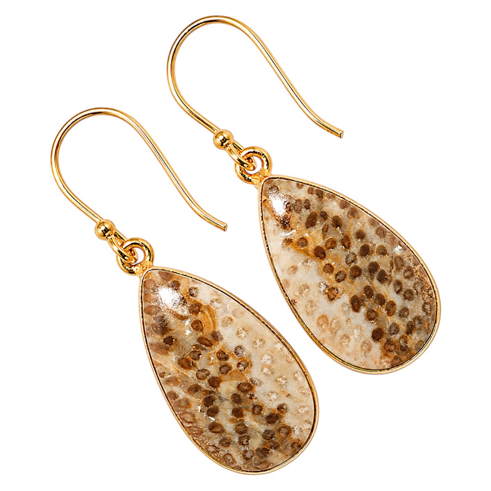 Root Plume Agate Earrings EM-1001 TE01185