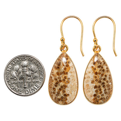 Root Plume Agate Earrings EM-1001 TE01185