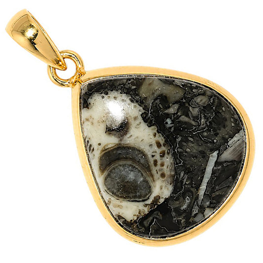 Mexican Cabbing Fossil Pendant PM-1002 TP01037