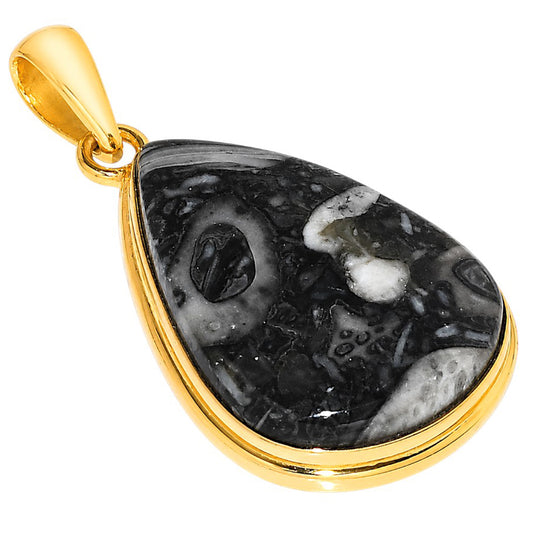 Mexican Cabbing Fossil Pendant PM-1124 TP01109