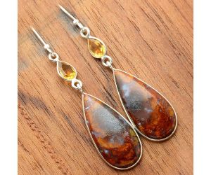 Rare Cady Mountain Agate and Citrine Earrings SDE30032 E-1002, 13x26 mm