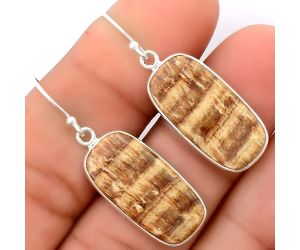 Natural Brown Aragonite Earrings SDE37368 E-1001, 11x23 mm