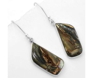 Natural Copper Abalone Shell Earrings SDE62342 E-1001, 10x22 mm