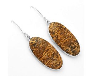 Natural Coquina Fossil Jasper - India Earrings SDE62456 E-1001, 14x26 mm