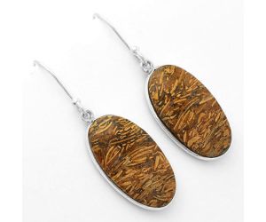 Natural Coquina Fossil Jasper - India Earrings SDE62458 E-1001, 13x23 mm