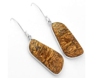 Natural Coquina Fossil Jasper - India Earrings SDE62459 E-1001, 12x27 mm