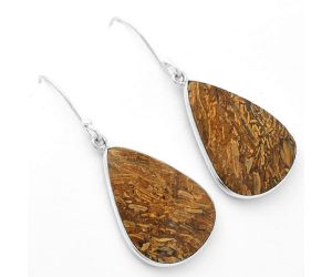 Natural Coquina Fossil Jasper - India Earrings SDE62460 E-1001, 17x25 mm