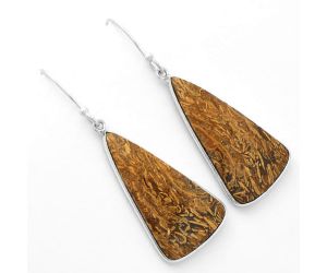 Natural Coquina Fossil Jasper - India Earrings SDE62461 E-1001, 16x30 mm