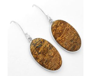 Natural Coquina Fossil Jasper - India Earrings SDE62466 E-1001, 15x25 mm