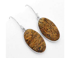 Natural Coquina Fossil Jasper - India Earrings SDE62471 E-1001, 15x24 mm