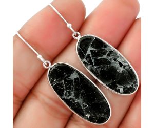 Natural Obsidian And Zinc Earrings SDE62573 E-1001, 13x28 mm