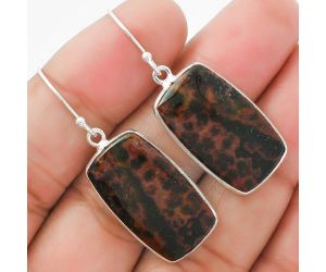 Natural Blood Stone - India Earrings SDE63587 E-1001, 14x24 mm