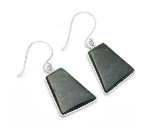 Natural Blood Stone - India Earrings SDE63862 E-1001, 15x19 mm