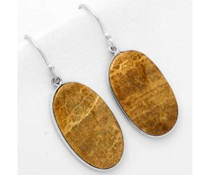 Natural Palm Root Fossil Agate Earrings SDE67707 E-1001, 15x26 mm