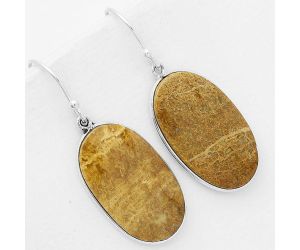 Natural Palm Root Fossil Agate Earrings SDE67936 E-1001, 15x26 mm