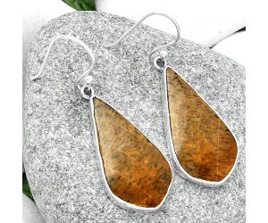 Natural Palm Root Fossil Agate Earrings SDE68755 E-1001, 15x29 mm