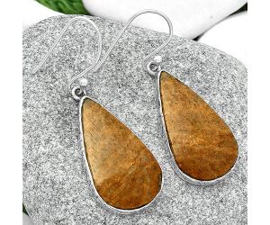 Natural Palm Root Fossil Agate Earrings SDE68835 E-1001, 15x27 mm