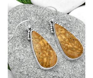 Natural Palm Root Fossil Agate Earrings SDE68848 E-1057, 14x27 mm