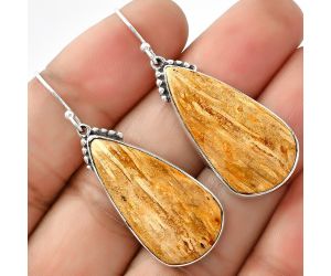 Natural Palm Root Fossil Agate Earrings SDE68854 E-1057, 15x30 mm