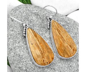 Natural Palm Root Fossil Agate Earrings SDE68854 E-1057, 15x30 mm