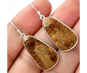Natural Palm Root Fossil Agate Earrings SDE69026 E-1001, 14x25 mm