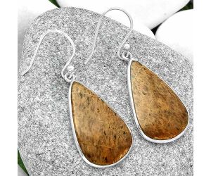 Natural Palm Root Fossil Agate Earrings SDE69030 E-1001, 16x26 mm