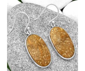 Natural Palm Root Fossil Agate Earrings SDE69031 E-1001, 14x24 mm