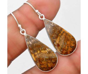 Natural Palm Root Fossil Agate Earrings SDE69649 E-1001, 13x26 mm