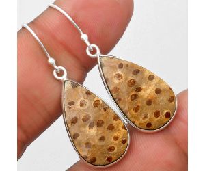 Natural Palm Root Fossil Agate Earrings SDE69821 E-1001, 13x23 mm