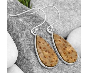 Natural Palm Root Fossil Agate Earrings SDE69821 E-1001, 13x23 mm