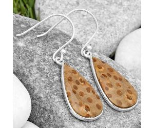 Natural Palm Root Fossil Agate Earrings SDE69847 E-1001, 12x23 mm