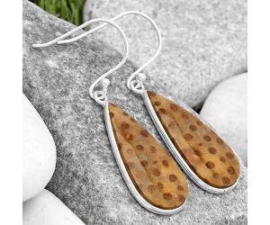 Natural Palm Root Fossil Agate Earrings SDE69904 E-1001, 12x27 mm