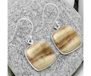 Natural Brown Aragonite Earrings SDE70465 E-1001, 16x16 mm