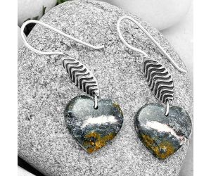Valentine Gift Heart Natural Indian Blanket Jasper Earrings SDE70941 E-1203, 17x17 mm