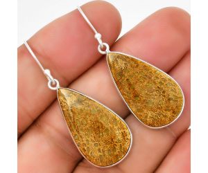 Natural Palm Root Fossil Agate Earrings SDE71653 E-1001, 15x26 mm