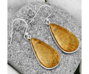 Natural Palm Root Fossil Agate Earrings SDE71653 E-1001, 15x26 mm