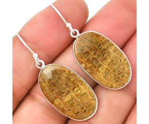 Natural Palm Root Fossil Agate Earrings SDE72279 E-1001, 14x24 mm